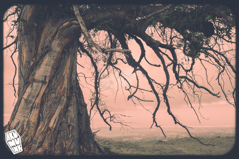 Creepy Countryside